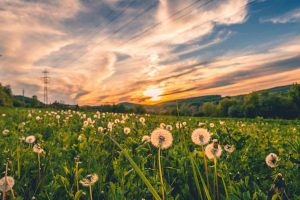 Earlier Generations and Unresolved Miscarriage Grief